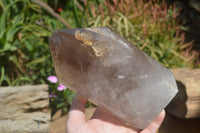 Polished Smokey Window Quartz Crystal x 1 From Madagascar - Toprock Gemstones and Minerals 