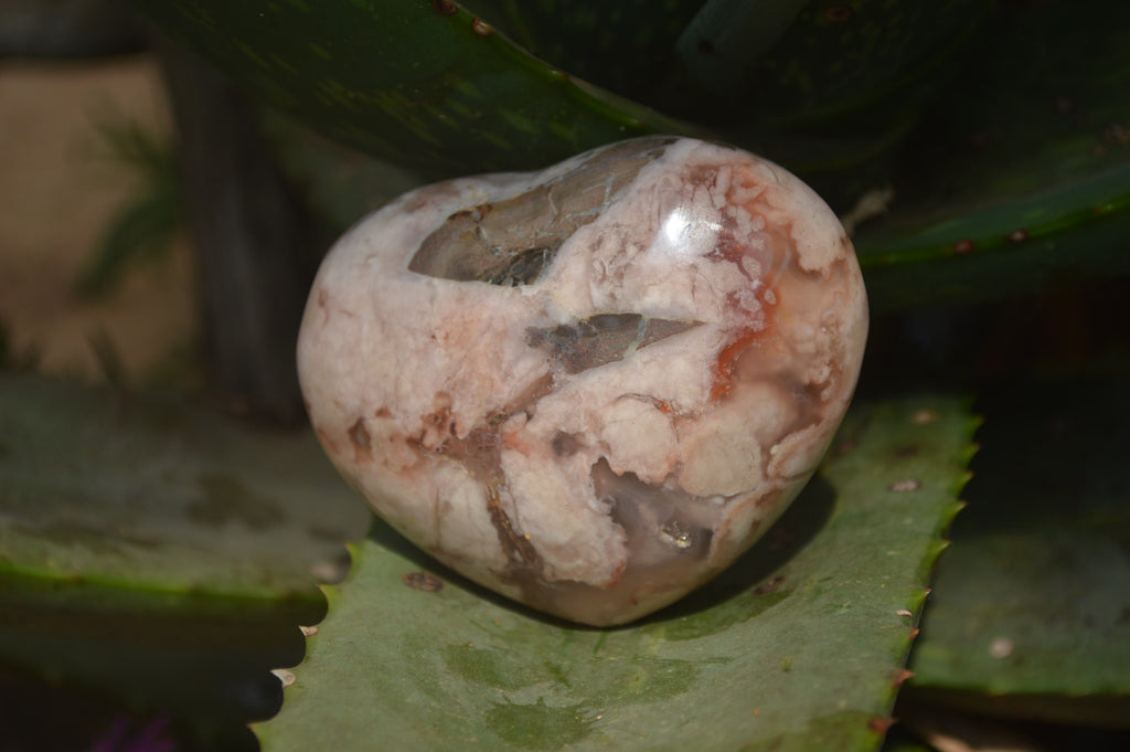 Polished Flower Agate Gemstone Hearts x 6 From Madagascar - Toprock Gemstones and Minerals 