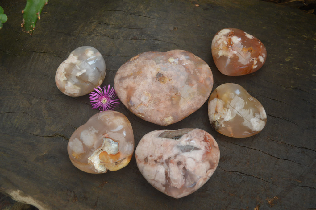 Polished Flower Agate Gemstone Hearts x 6 From Madagascar - Toprock Gemstones and Minerals 