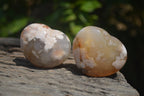 Polished Flower Agate Gemstone Hearts x 6 From Madagascar - Toprock Gemstones and Minerals 