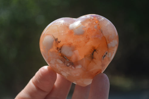 Polished Flower Agate Gemstone Hearts x 6 From Madagascar - Toprock Gemstones and Minerals 