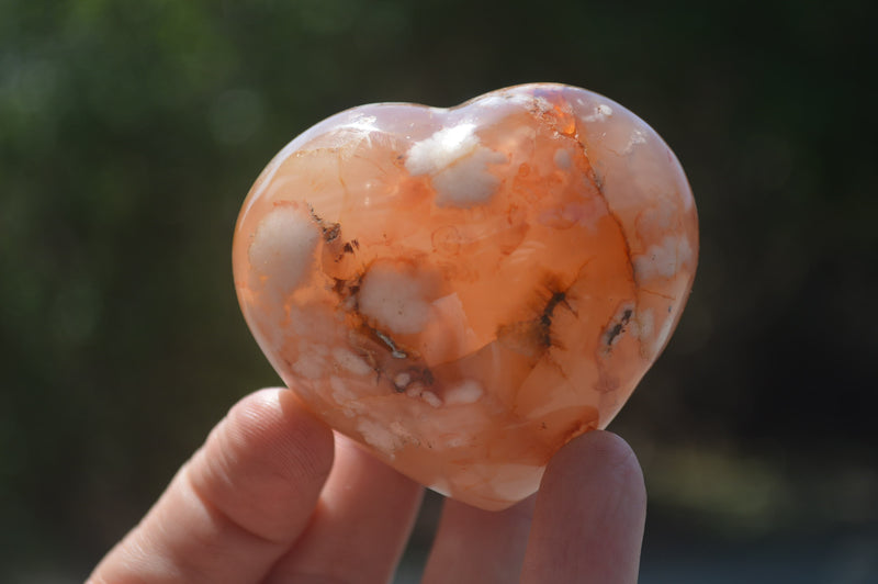 Polished Flower Agate Gemstone Hearts x 6 From Madagascar - Toprock Gemstones and Minerals 