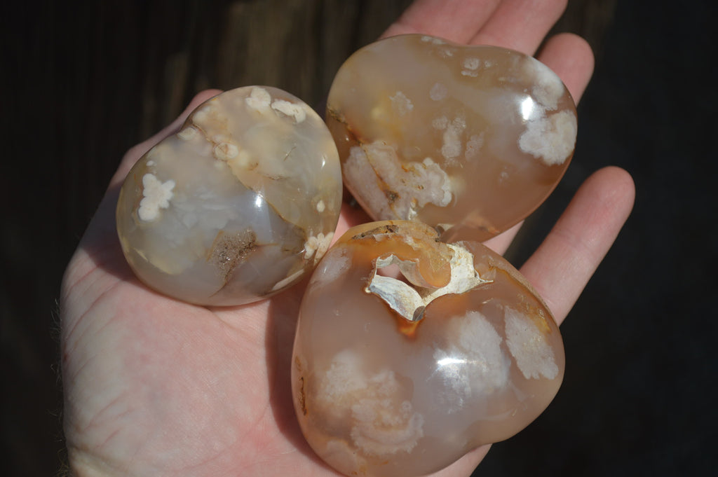 Polished Flower Agate Gemstone Hearts x 6 From Madagascar - Toprock Gemstones and Minerals 