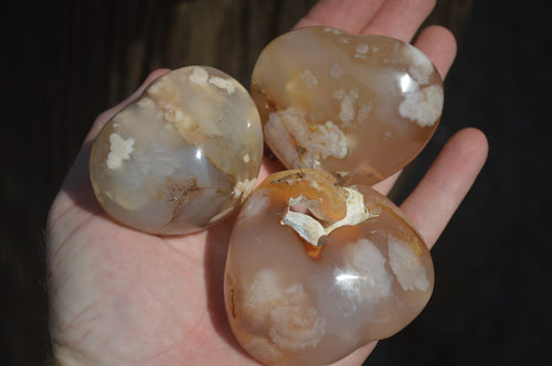 Polished Flower Agate Gemstone Hearts x 6 From Madagascar - Toprock Gemstones and Minerals 