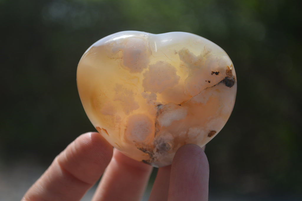 Polished Flower Agate Gemstone Hearts x 6 From Madagascar - Toprock Gemstones and Minerals 