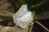 Natural Blue Lace Agate Geode Specimens x 6 From Malawi - Toprock Gemstones and Minerals 