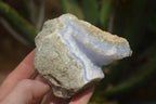 Natural Blue Lace Agate Geode Specimens x 6 From Malawi - Toprock Gemstones and Minerals 