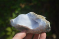 Natural Blue Lace Agate Geode Specimens x 6 From Malawi - Toprock Gemstones and Minerals 