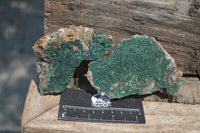 Natural Botryoidal Malachite Specimens x 6 From Tenke Fungurume, Congo - Toprock Gemstones and Minerals 