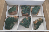 Natural Botryoidal Malachite Specimens x 6 From Tenke Fungurume, Congo - Toprock Gemstones and Minerals 