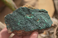 Natural Botryoidal Malachite Specimens x 6 From Tenke Fungurume, Congo - Toprock Gemstones and Minerals 