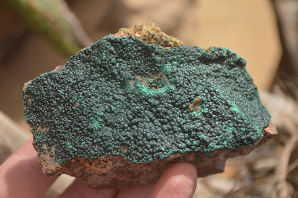 Natural Botryoidal Malachite Specimens x 6 From Tenke Fungurume, Congo - Toprock Gemstones and Minerals 