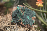 Natural Botryoidal Malachite Specimens x 6 From Tenke Fungurume, Congo - Toprock Gemstones and Minerals 