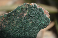Natural Botryoidal Malachite Specimens x 6 From Tenke Fungurume, Congo - Toprock Gemstones and Minerals 