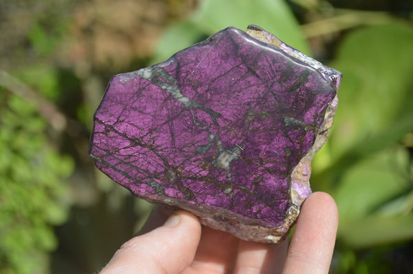 Polished On One Side Metallic Purpurite x 4 From Namibia - Toprock Gemstones and Minerals 