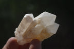 Natural Pineapple Candle Quartz Crystals x 35 From Antsirabe, Madagascar - Toprock Gemstones and Minerals 