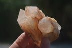 Natural Pineapple Candle Quartz Crystals x 35 From Antsirabe, Madagascar - Toprock Gemstones and Minerals 