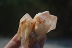 Natural Pineapple Candle Quartz Crystals x 35 From Antsirabe, Madagascar - Toprock Gemstones and Minerals 