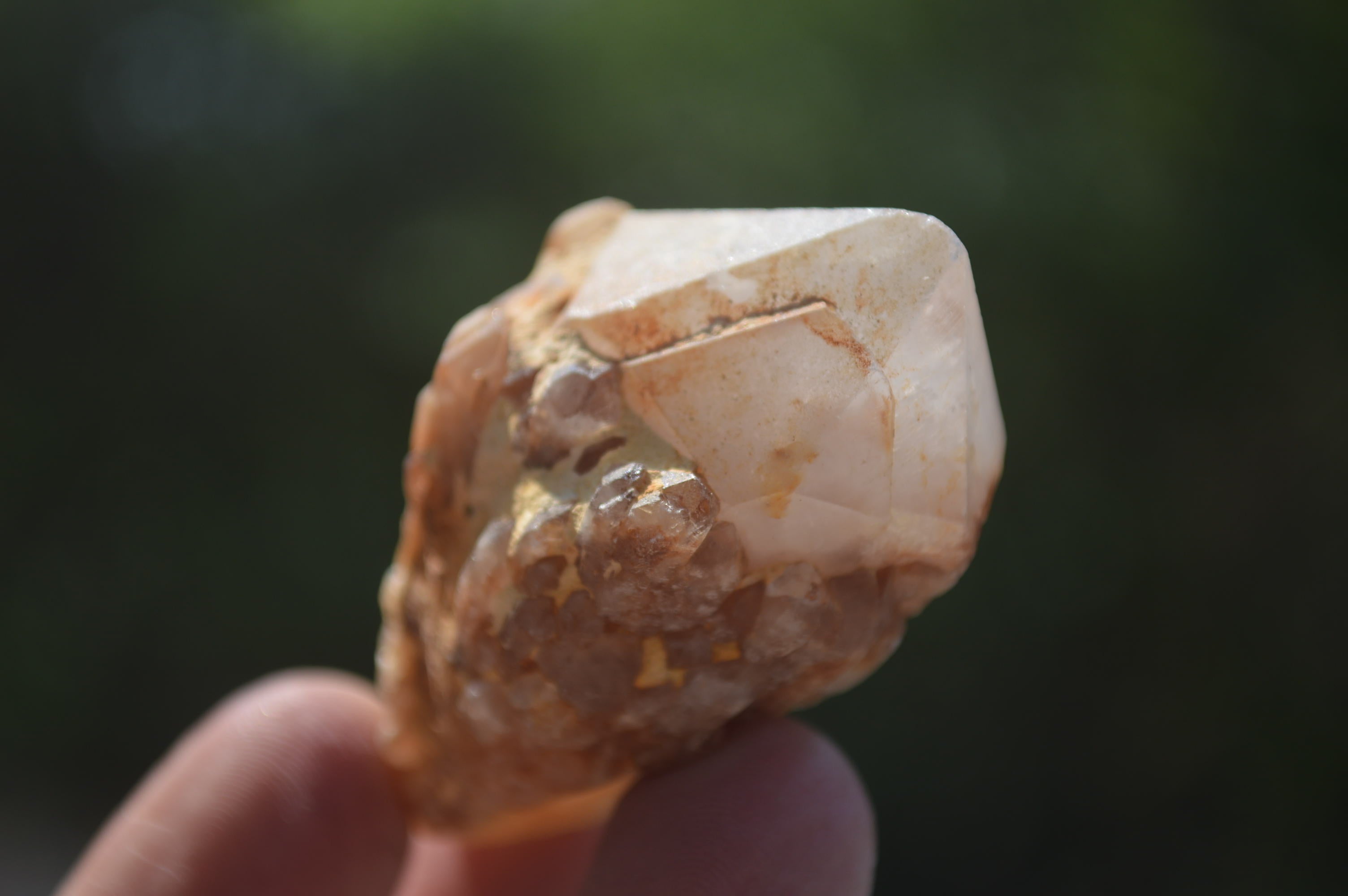 Natural Pineapple Candle Quartz Crystals x 35 From Antsirabe, Madagascar - Toprock Gemstones and Minerals 