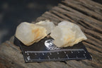 Natural Pineapple Candle Quartz Crystals x 35 From Antsirabe, Madagascar - Toprock Gemstones and Minerals 