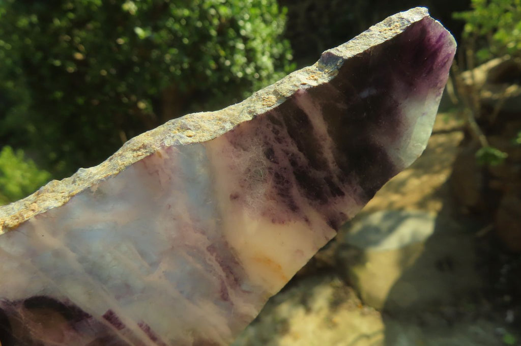 Polished Watermelon Fluorite Slices x 6 From Uis, Namibia - Toprock Gemstones and Minerals 