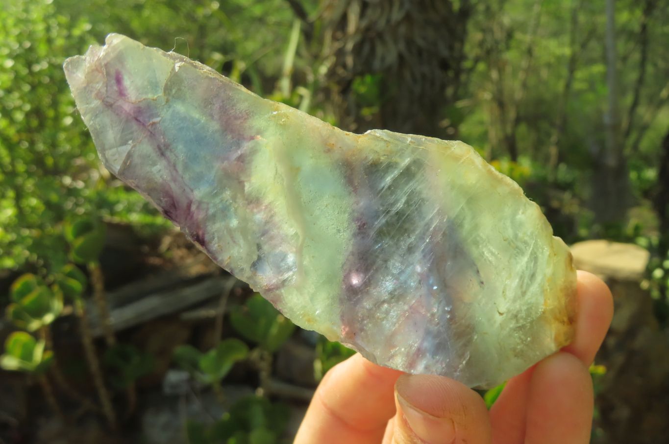 Polished Watermelon Fluorite Slices x 6 From Uis, Namibia - Toprock Gemstones and Minerals 