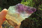 Polished Watermelon Fluorite Slices x 6 From Uis, Namibia - Toprock Gemstones and Minerals 
