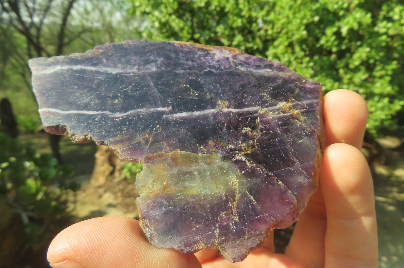 Polished Watermelon Fluorite Slices x 6 From Uis, Namibia - Toprock Gemstones and Minerals 