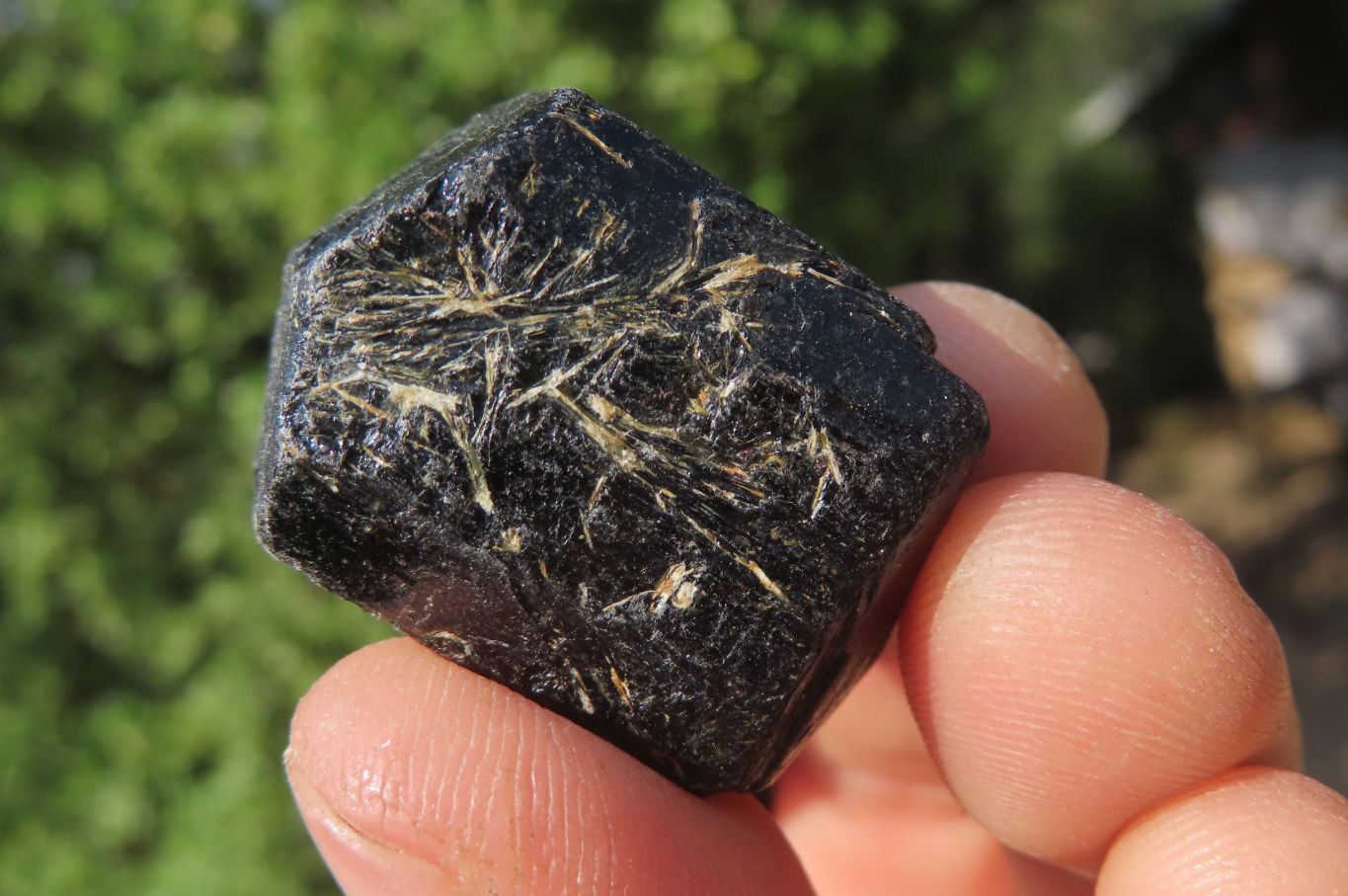 Natural Alluvial Schorl Black Tourmaline Crystals x 1.9 Kg Lot From Zimbabwe - Toprock Gemstones and Minerals 