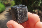 Natural Alluvial Schorl Black Tourmaline Crystals x 1.9 Kg Lot From Zimbabwe - Toprock Gemstones and Minerals 