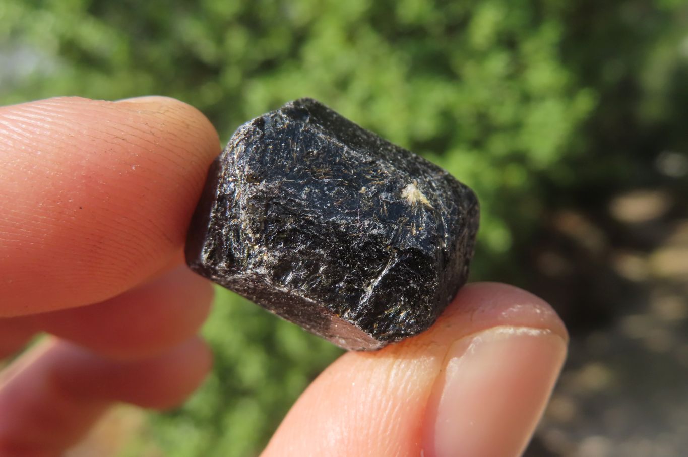Natural Alluvial Schorl Black Tourmaline Crystals x 1.9 Kg Lot From Zimbabwe - Toprock Gemstones and Minerals 