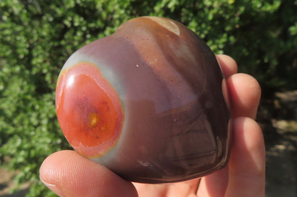 Polished Polychrome Jasper Hearts x 6 From Madagascar - Toprock Gemstones and Minerals 