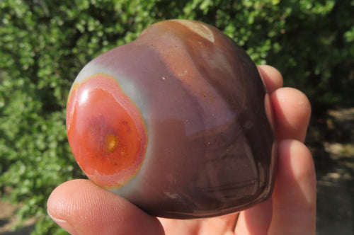 Polished Polychrome Jasper Hearts x 6 From Madagascar - Toprock Gemstones and Minerals 