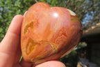 Polished Polychrome Jasper Hearts x 6 From Madagascar - Toprock Gemstones and Minerals 