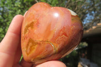 Polished Polychrome Jasper Hearts x 6 From Madagascar