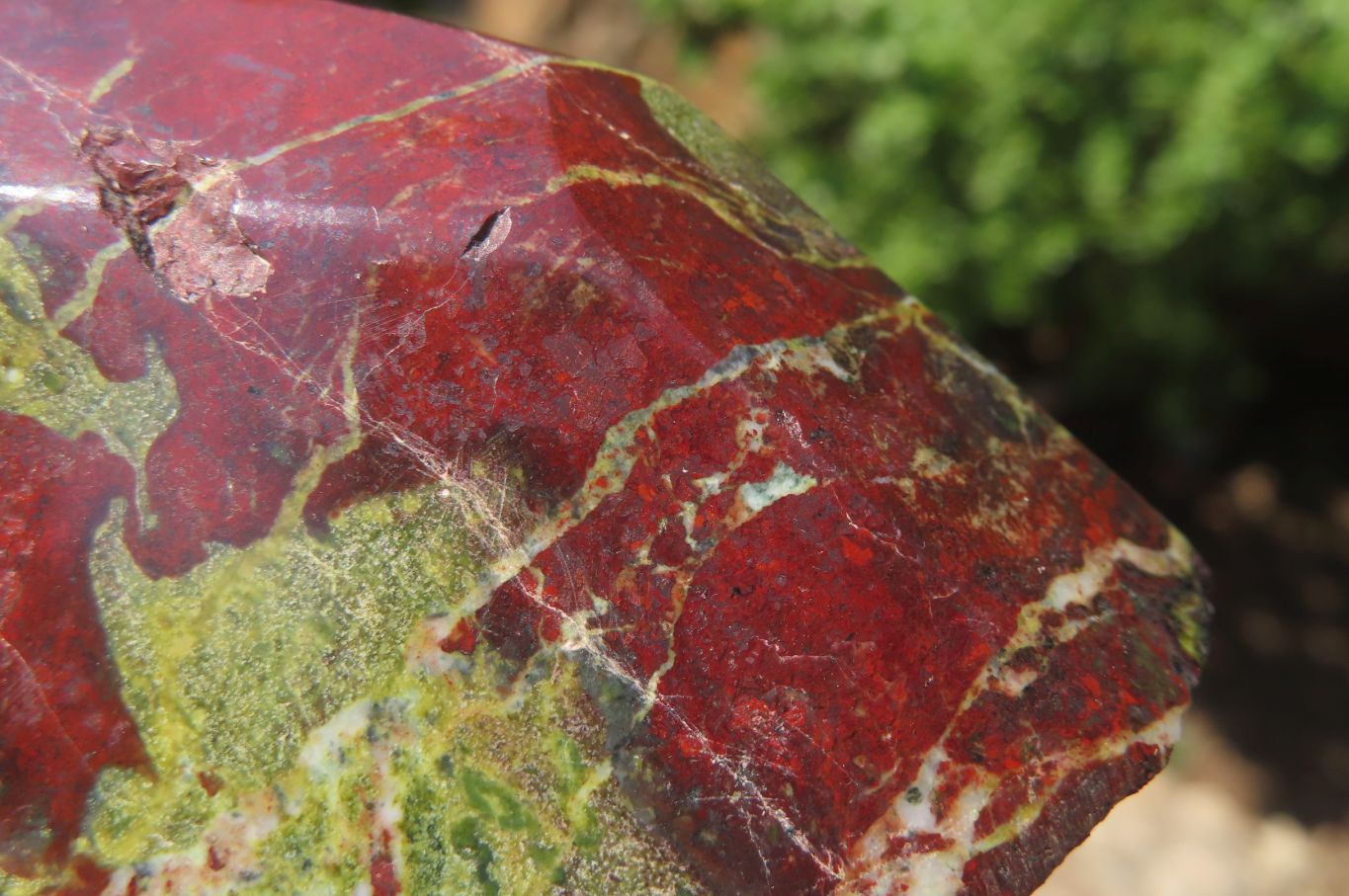 Polished Dragons Blood Stone Points x 3 From Tshipise, South Africa - Toprock Gemstones and Minerals 