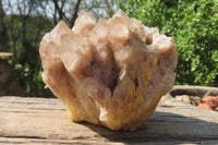 Natural Cascading Smokey Quartz Clusters x 2 From Luena, Congo - Toprock Gemstones and Minerals 