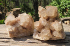 Natural Cascading Smokey Quartz Clusters x 2 From Luena, Congo - Toprock Gemstones and Minerals 