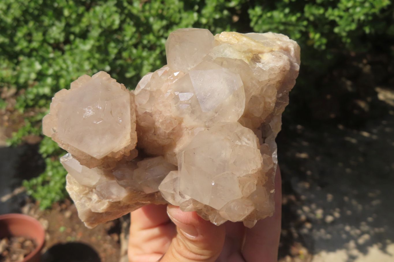 Natural Cascading Smokey Quartz Clusters x 2 From Luena, Congo - Toprock Gemstones and Minerals 