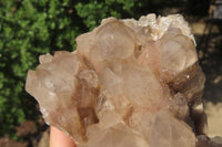 Natural Cascading Smokey Quartz Clusters x 2 From Luena, Congo - Toprock Gemstones and Minerals 