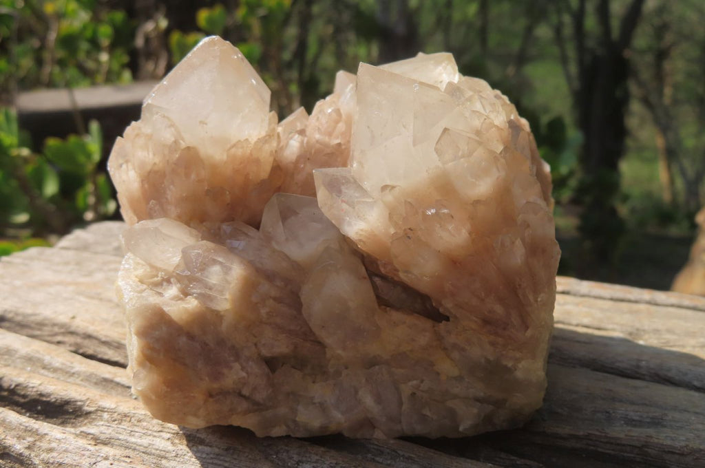 Natural Cascading Smokey Quartz Clusters x 2 From Luena, Congo - Toprock Gemstones and Minerals 