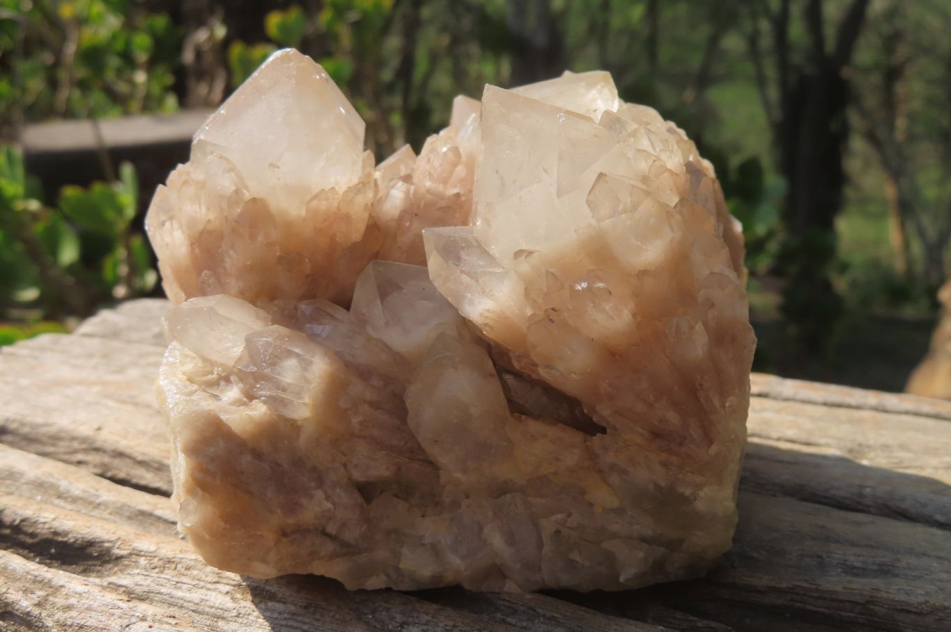 Natural Cascading Smokey Quartz Clusters x 2 From Luena, Congo - Toprock Gemstones and Minerals 