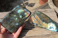 Polished Labradorite Standing Free Forms x 2 From Tulear, Madagascar - Toprock Gemstones and Minerals 