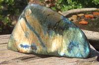 Polished Labradorite Standing Free Forms x 2 From Tulear, Madagascar - Toprock Gemstones and Minerals 