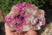 Natural Salrose Cobaltion Dolomite Specimens x 3 From Kakanda, Congo - Toprock Gemstones and Minerals 