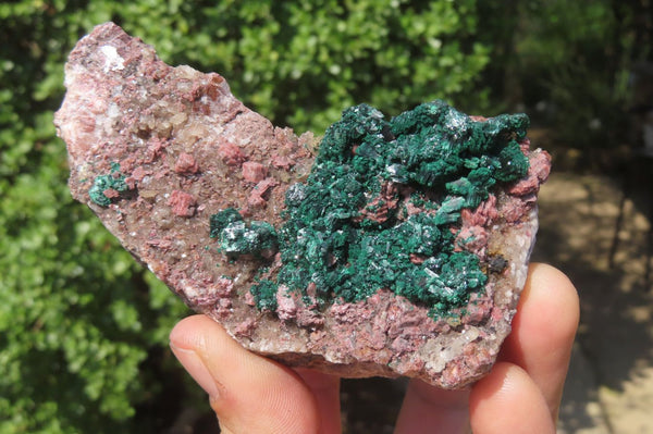 Natural Salrose Cobaltion Dolomite Specimens x 3 From Kakanda, Congo - Toprock Gemstones and Minerals 