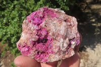 Natural Salrose Cobaltion Dolomite Specimens x 3 From Kakanda, Congo - Toprock Gemstones and Minerals 