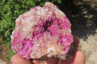 Natural Salrose Cobaltion Dolomite Specimens x 3 From Kakanda, Congo - Toprock Gemstones and Minerals 