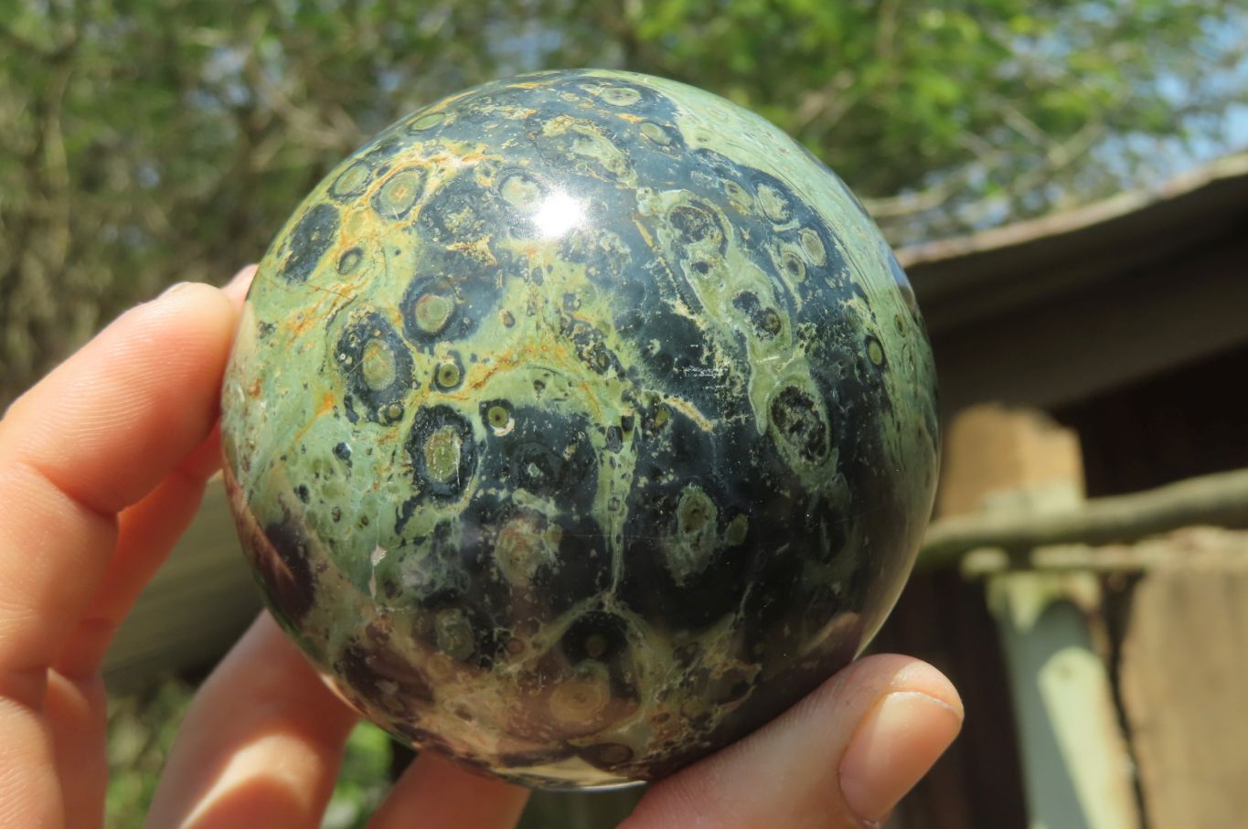 Polished Stromatolite Jasper Spheres x 4 From Katsepy, Madagascar - Toprock Gemstones and Minerals 