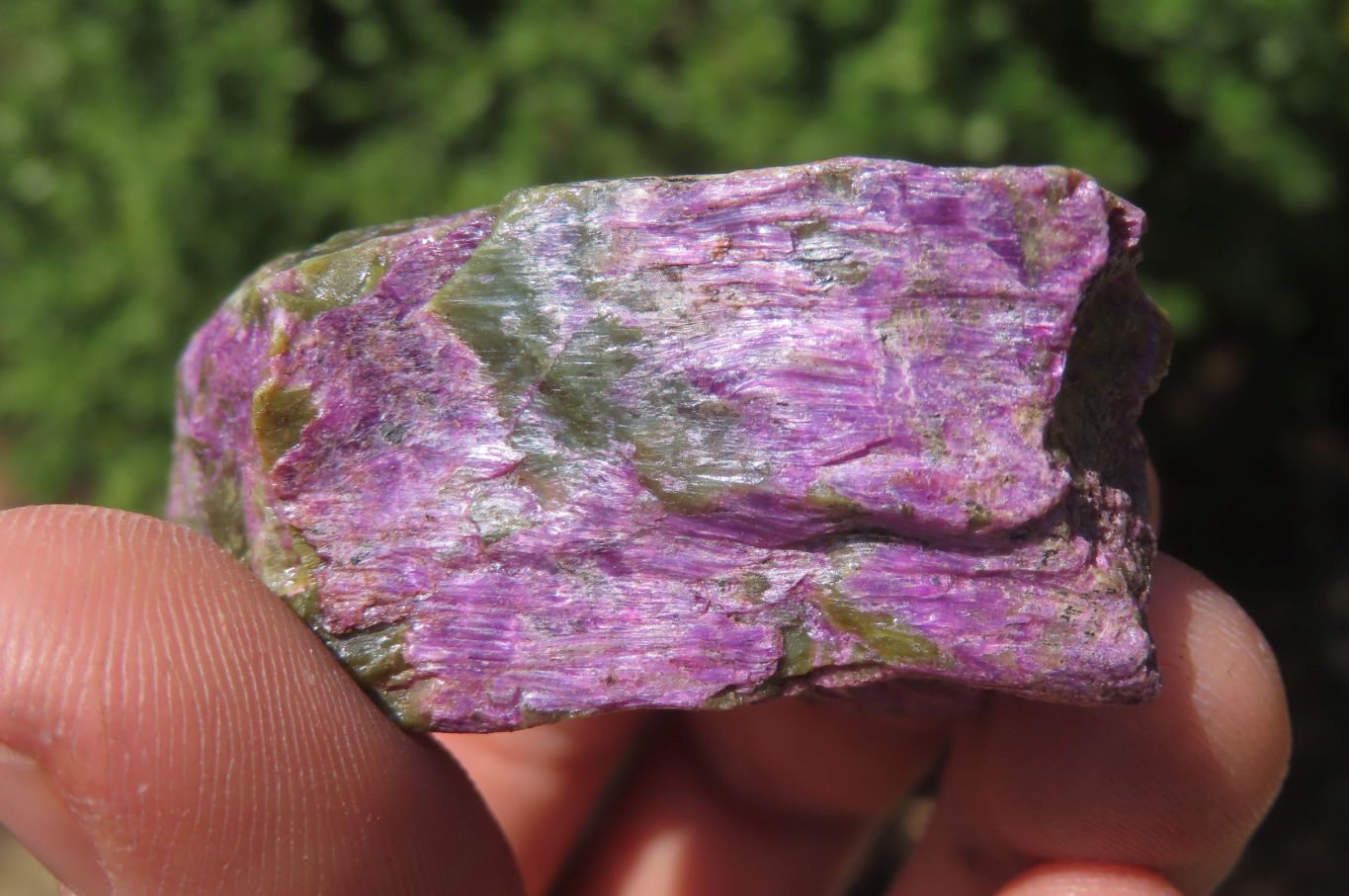 Natural Stichtite Cobbed Specimens x 11 From Barberton, South Africa - Toprock Gemstones and Minerals 